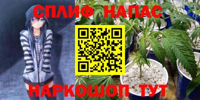 СК Абинск